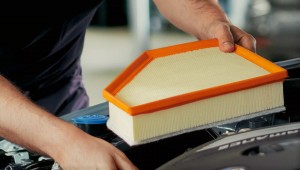 Ricambi Originali MINI e BMW Roma Nord