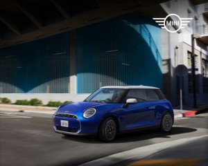 tagliando mini service